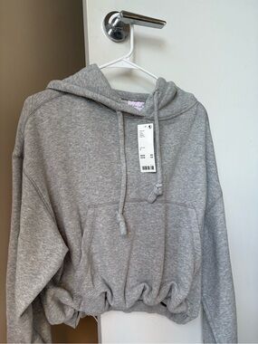NWTO Urban Outfitters Heather Gray Cropped Drawstring Hoodie